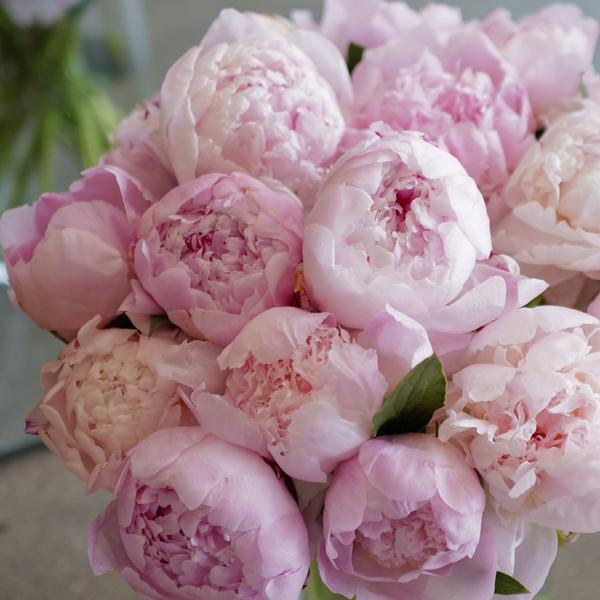 June 21(Sat) 10am Peony Bouquet Workshop