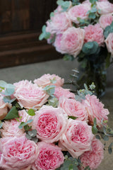 *VALENTINE" Japanese Garden Rose [Princess Hitomi]