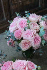 *VALENTINE" Japanese Garden Rose [Princess Hitomi]