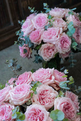 *VALENTINE" Japanese Garden Rose [Princess Hitomi]