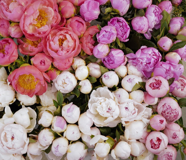 *Mother's Day* Peony Bouquet/arrangement
